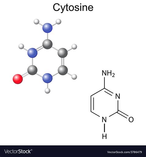 Properties of Cytosine